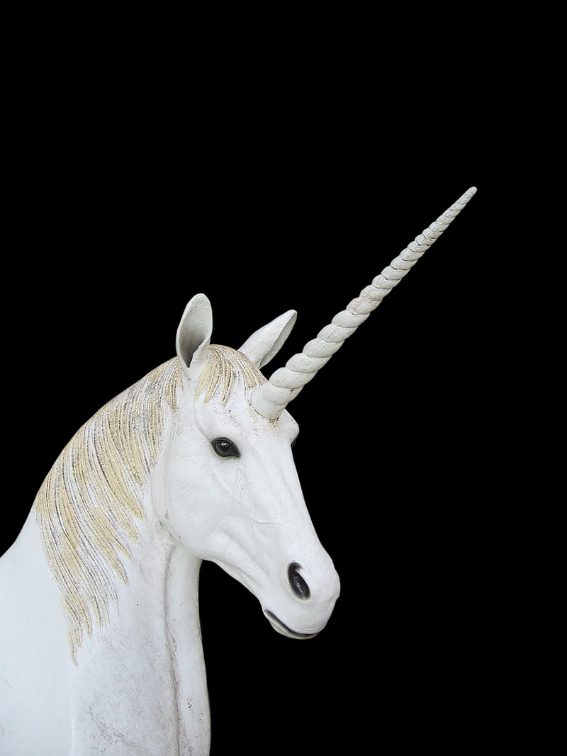 Unicorn sightings